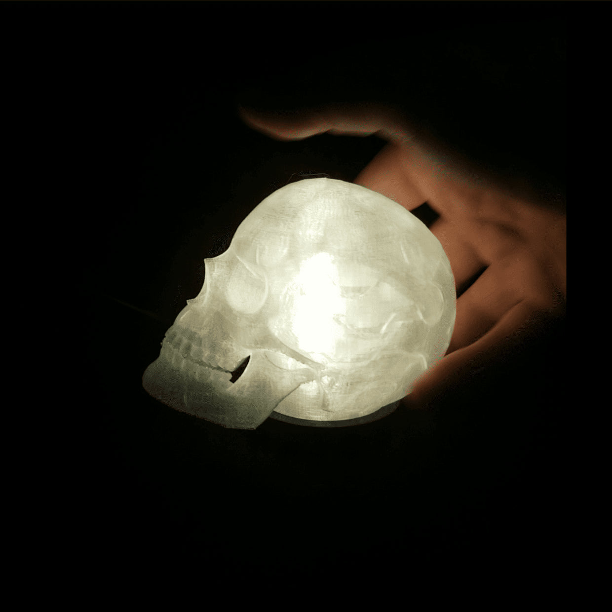 Skull Lamp