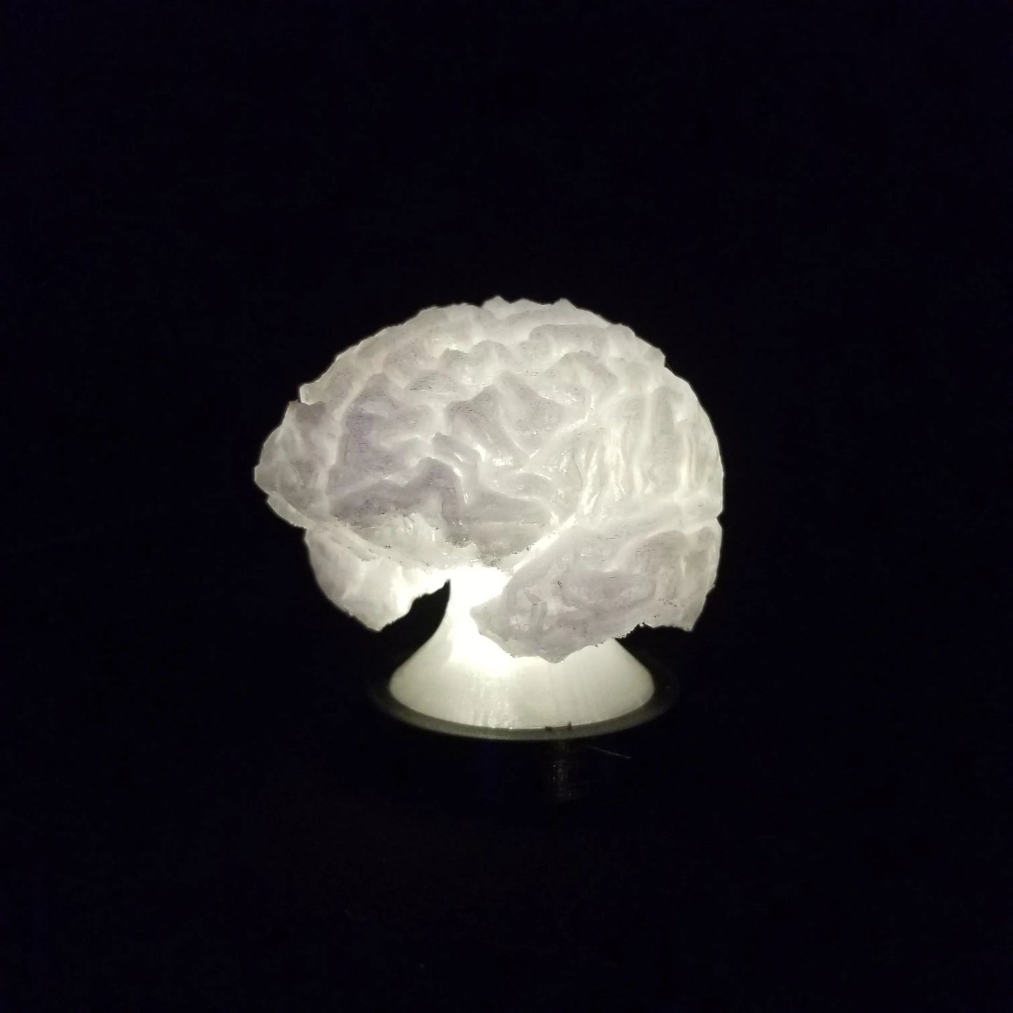 Brain Lamp