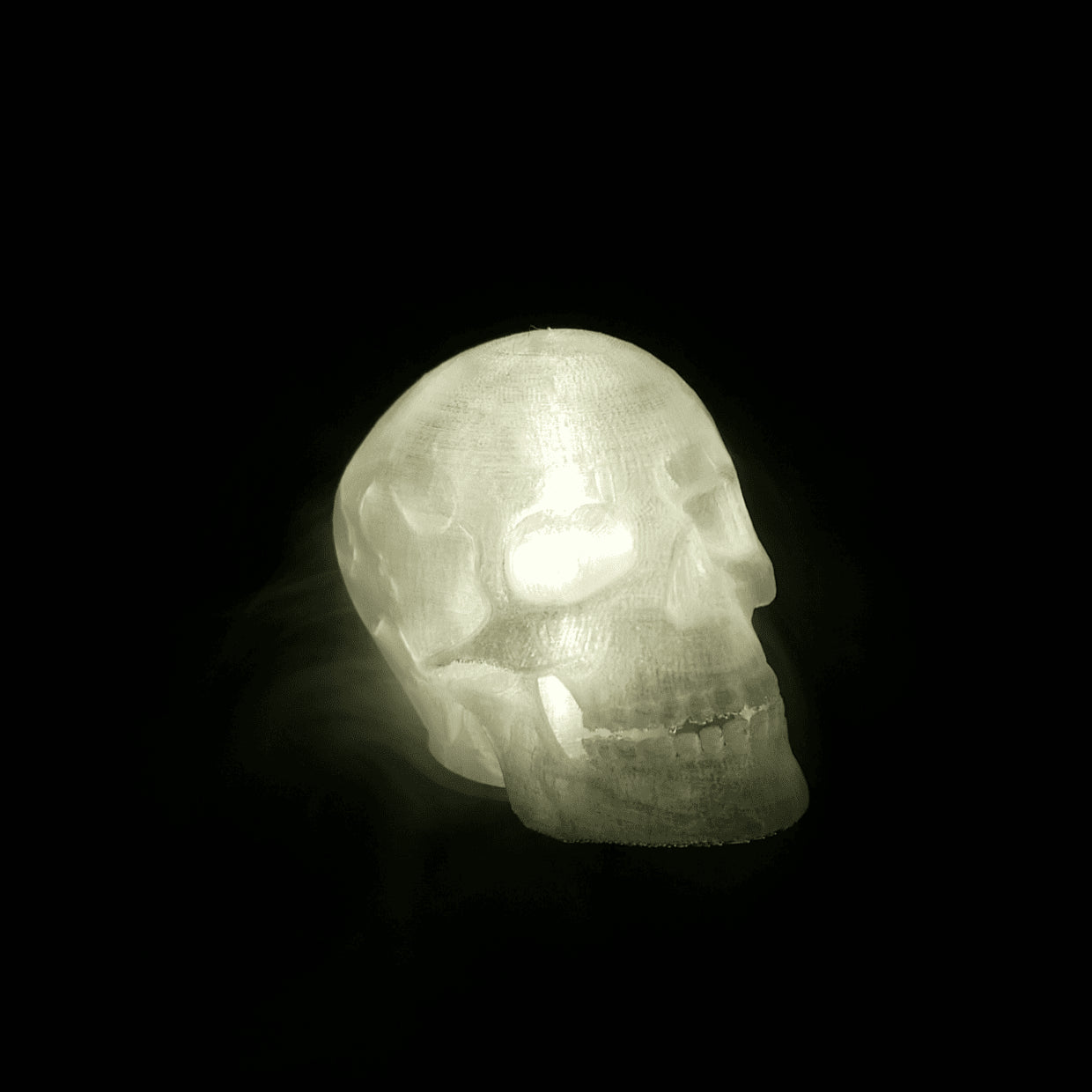 Skull Lamp