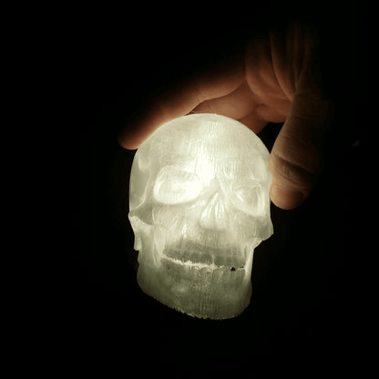 Skull Lamp