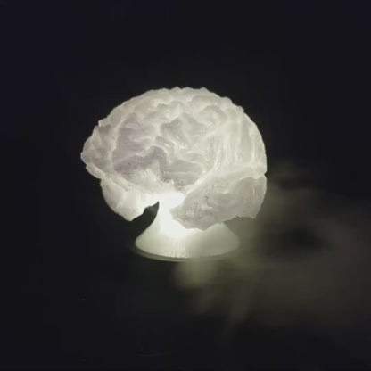 Brain Lamp