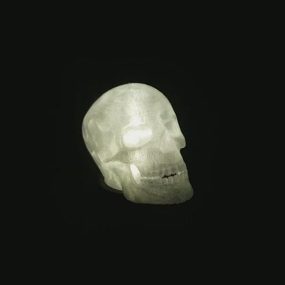 Skull Lamp